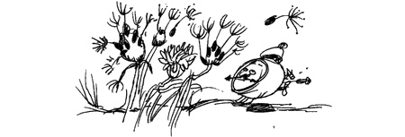 Иллюстрация к книге — Мудрый Исправитель Недостатков [img28.jpg]