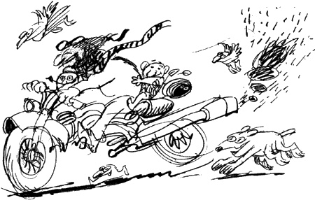 Иллюстрация к книге — Мудрый Исправитель Недостатков [img33.jpg]