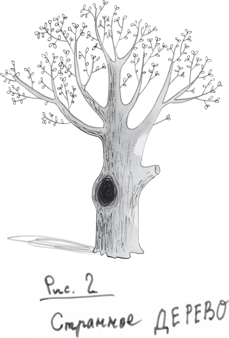 Иллюстрация к книге — Ной Морсвод убежал [i_002.jpg]