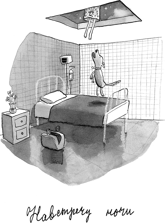 Иллюстрация к книге — С Барнаби Бракетом случилось ужасное [i_019.jpg]