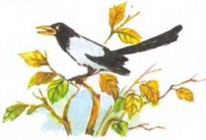 Иллюстрация к книге — Пять забавных медвежат [i_006.jpg]