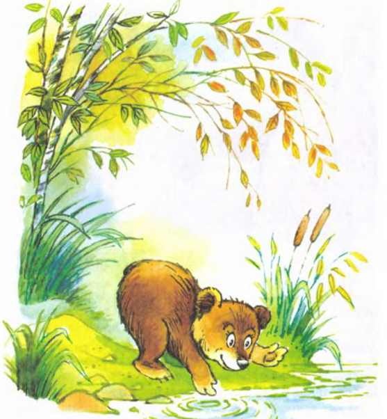Иллюстрация к книге — Пять забавных медвежат [i_015.jpg]