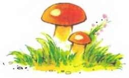 Иллюстрация к книге — Пять забавных медвежат [i_026.jpg]