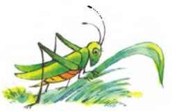 Иллюстрация к книге — Пять забавных медвежат [i_046.jpg]