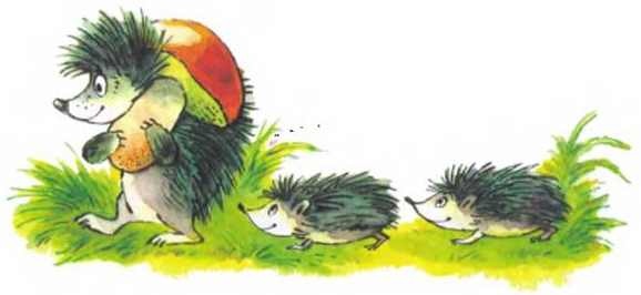 Иллюстрация к книге — Пять забавных медвежат [i_050.jpg]