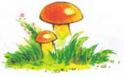 Иллюстрация к книге — Пять забавных медвежат [i_052.jpg]