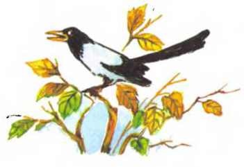 Иллюстрация к книге — Пять забавных медвежат [i_058.jpg]