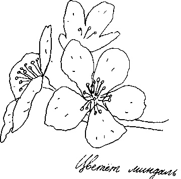 Иллюстрация к книге — Малыш и река [i_014.jpg]