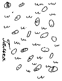 Иллюстрация к книге — Малыш и река [i_035.jpg]