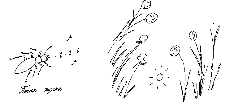 Иллюстрация к книге — Малыш и река [i_049.jpg]