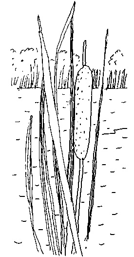 Иллюстрация к книге — Малыш и река [i_050.jpg]