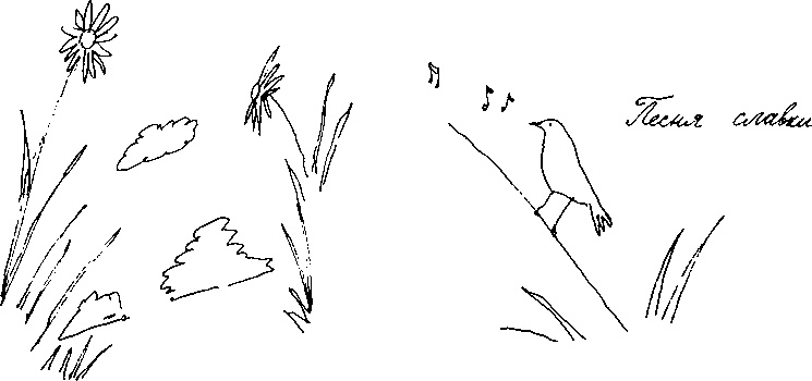 Иллюстрация к книге — Малыш и река [i_051.jpg]