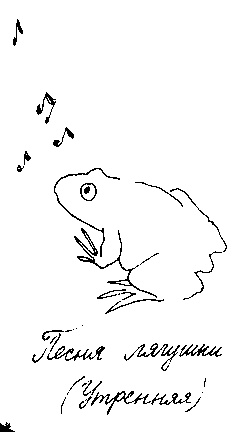 Иллюстрация к книге — Малыш и река [i_053.jpg]