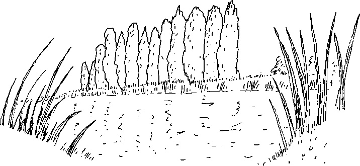 Иллюстрация к книге — Малыш и река [i_054.jpg]