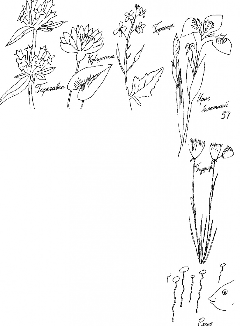 Иллюстрация к книге — Малыш и река [i_067.jpg]