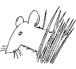 Иллюстрация к книге — Малыш и река [i_074.jpg]