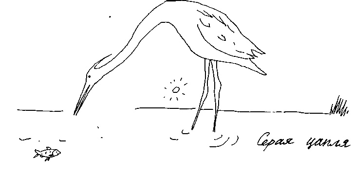 Иллюстрация к книге — Малыш и река [i_078.jpg]