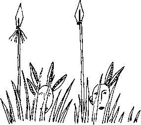 Иллюстрация к книге — Малыш и река [i_081.jpg]