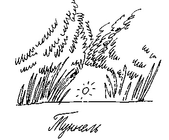 Иллюстрация к книге — Малыш и река [i_087.jpg]