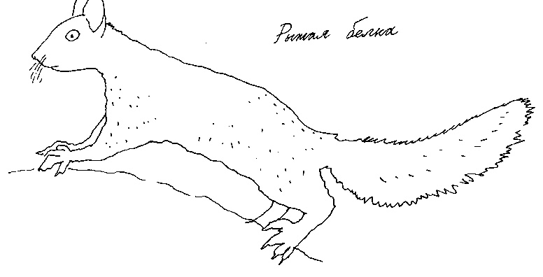 Иллюстрация к книге — Малыш и река [i_097.jpg]
