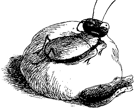 Иллюстрация к книге — Шедевр [i_004.jpg]