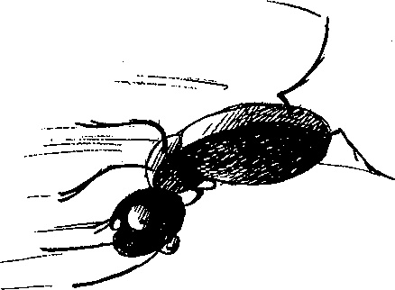 Иллюстрация к книге — Шедевр [i_034.jpg]