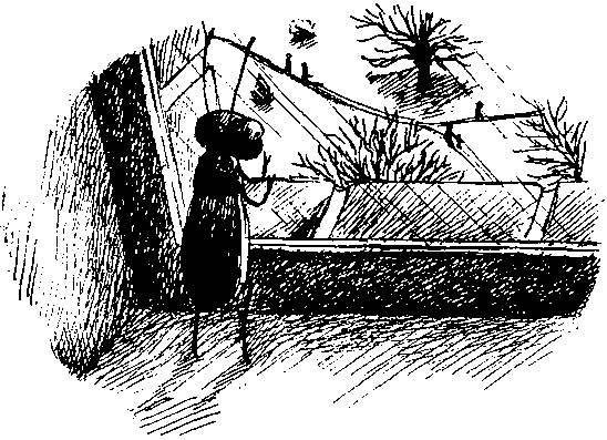 Иллюстрация к книге — Шедевр [i_037.jpg]