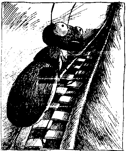 Иллюстрация к книге — Шедевр [i_044.jpg]