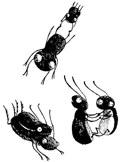 Иллюстрация к книге — Шедевр [i_055.jpg]