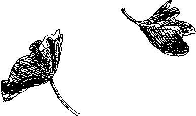 Иллюстрация к книге — Шедевр [i_056.jpg]