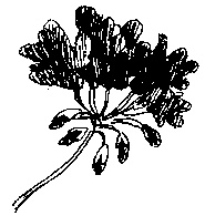 Иллюстрация к книге — Шедевр [i_060.jpg]