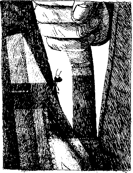 Иллюстрация к книге — Шедевр [i_078.jpg]