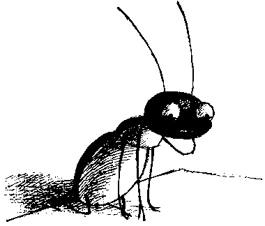 Иллюстрация к книге — Шедевр [i_090.jpg]