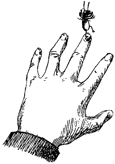 Иллюстрация к книге — Шедевр [i_096.jpg]