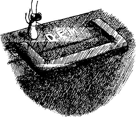 Иллюстрация к книге — Шедевр [i_104.jpg]