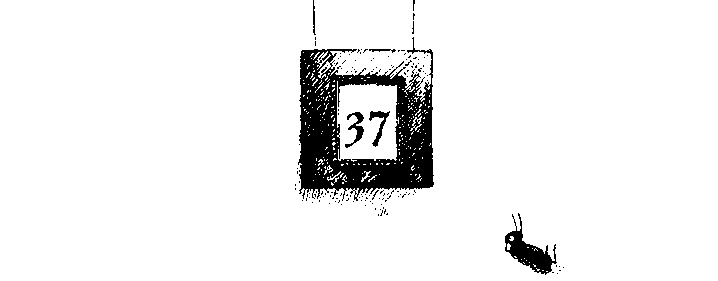 Иллюстрация к книге — Шедевр [i_115.jpg]