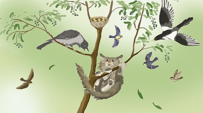 Иллюстрация к книге — Одомашнивание кота Мурзика [i_006.jpg]