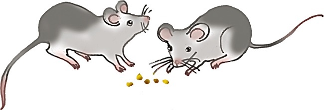 Иллюстрация к книге — Одомашнивание кота Мурзика [i_008.jpg]