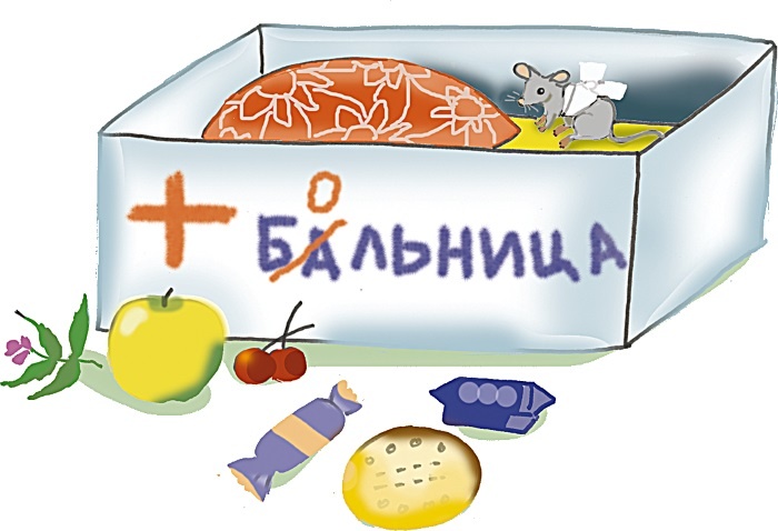 Иллюстрация к книге — Одомашнивание кота Мурзика [i_012.jpg]