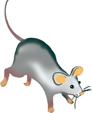 Иллюстрация к книге — Одомашнивание кота Мурзика [i_014.jpg]