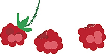 Иллюстрация к книге — Одомашнивание кота Мурзика [i_018.jpg]