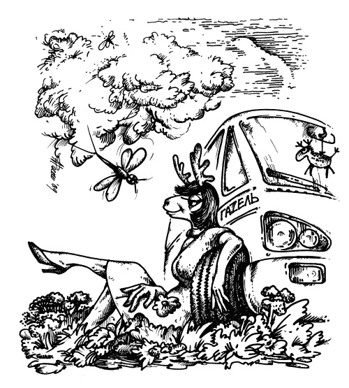 Иллюстрация к книге — Птичка Пеночка с пеньком [i_012.jpg]