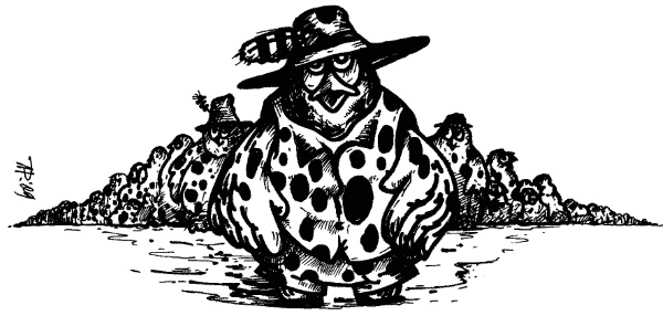 Иллюстрация к книге — Птичка Пеночка с пеньком [i_016.jpg]