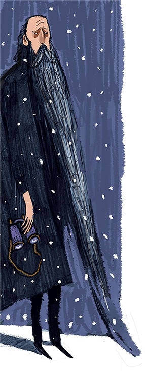 Иллюстрация к книге — Выше некуда! Новогодняя сказка [i_095.jpg]