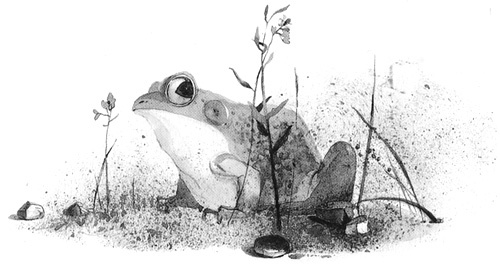 Иллюстрация к книге — Вечный Тук [i_016.jpg]