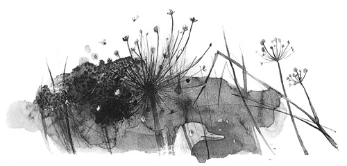 Иллюстрация к книге — Вечный Тук [i_020.jpg]