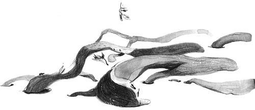 Иллюстрация к книге — Вечный Тук [i_025.jpg]