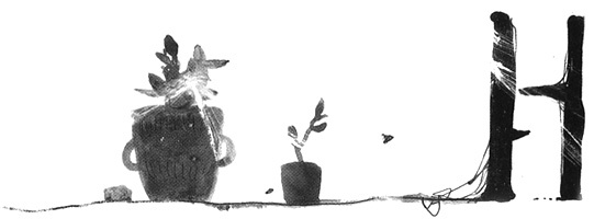 Иллюстрация к книге — Вечный Тук [i_027.jpg]