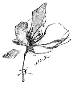 Иллюстрация к книге — Вечный Тук [i_028.jpg]