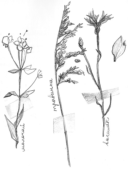 Иллюстрация к книге — Вечный Тук [i_029.jpg]